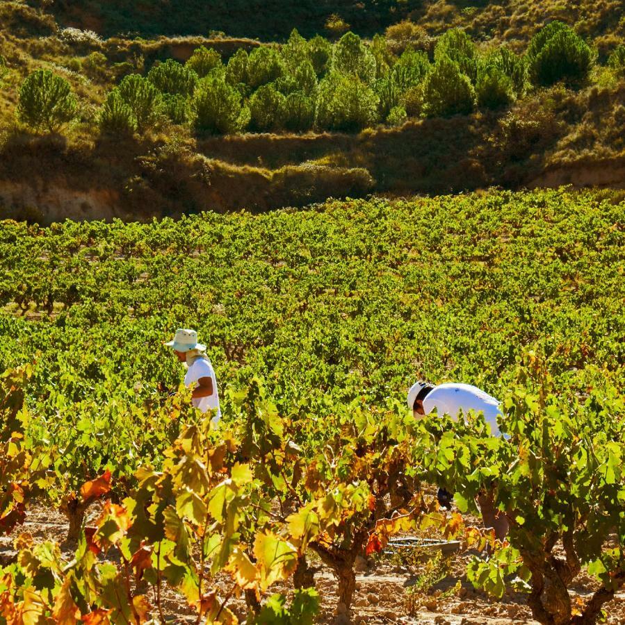 Hotel Vinicola Real-200 Monges Albelda De Iregua Εξωτερικό φωτογραφία