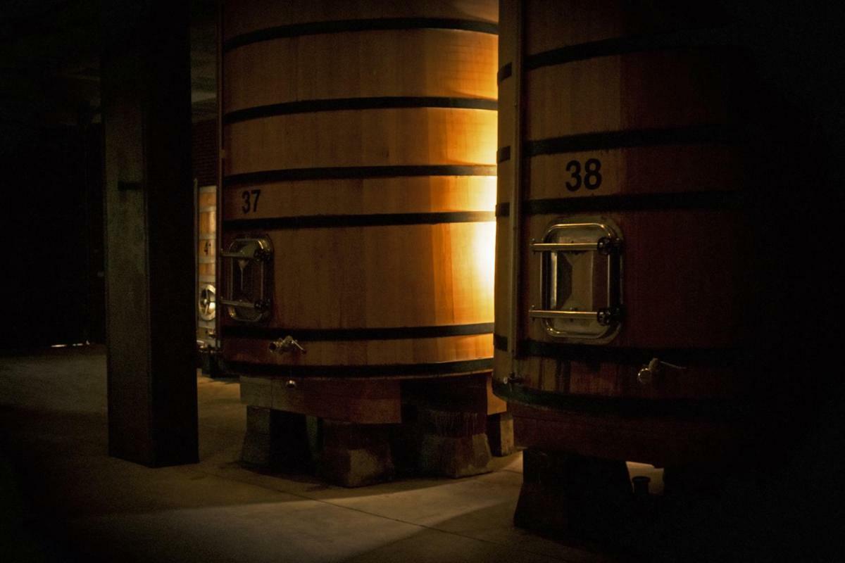 Hotel Vinicola Real-200 Monges Albelda De Iregua Εξωτερικό φωτογραφία